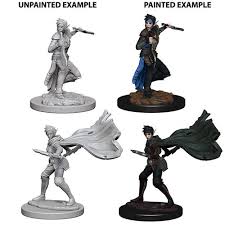 Pathfinder Battles: Deep Cuts - Elf Female Rogue (73187)