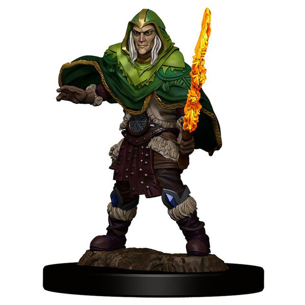 D&D Miniatures: Icons of the Realms - Premium Figure: Wave 05 - Elf Fighter Male