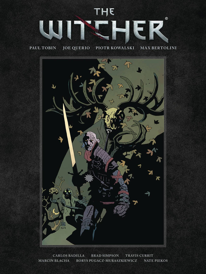 WITCHER LIBRARY EDITION HC VOL 1