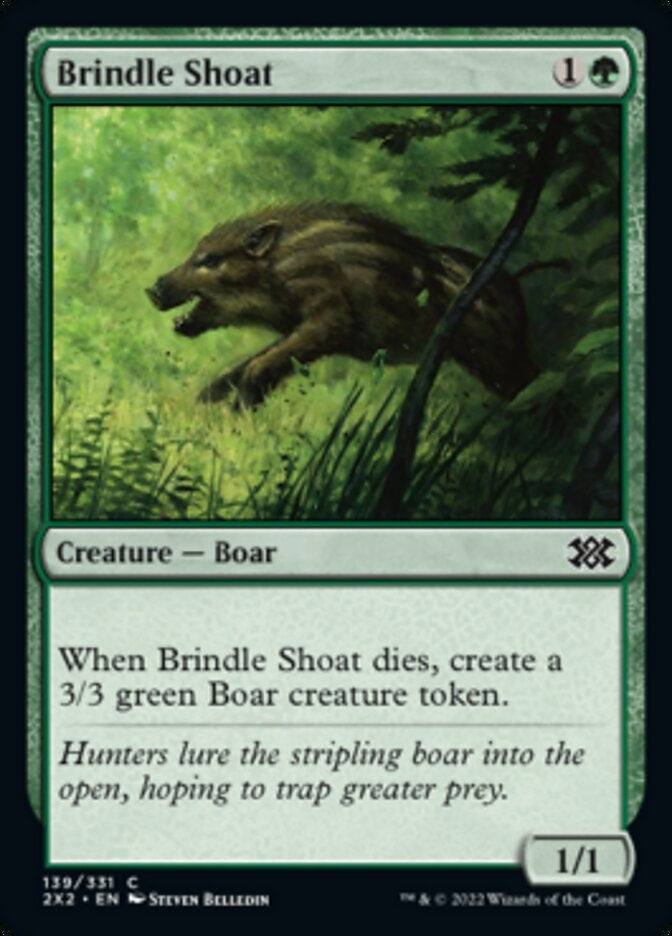 Brindle Shoat (2X2-C)