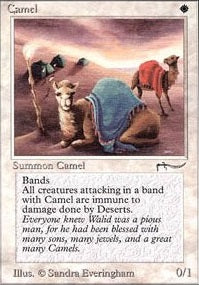 Camel (ARN-C)