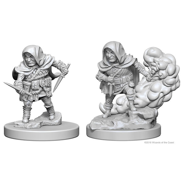 D&D: Nolzur's Marvelous Miniatures - Halfling Male Rogue W01