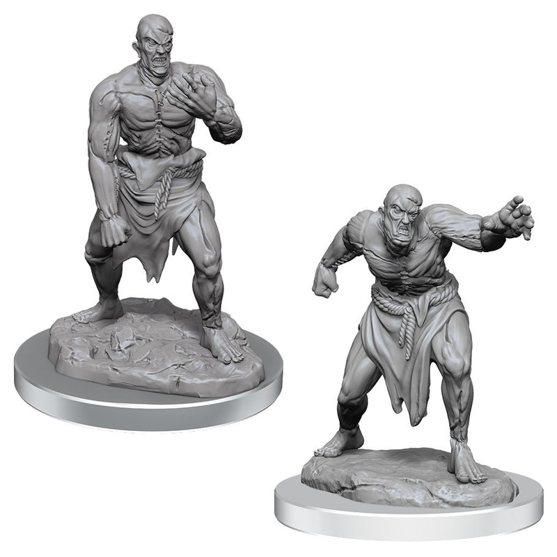 D&D: Nolzur's Marvelous Miniatures - Flesh Golems W17