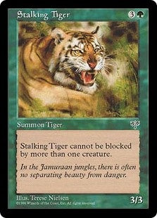 Stalking Tiger (MIR-C)