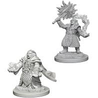 D&D: Nolzur's Marvelous Miniatures - Dwarf Female Cleric W4