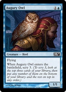 Augury Owl (M11-C)