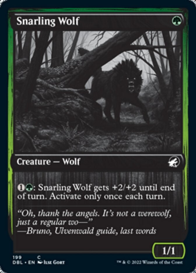 Snarling Wolf [