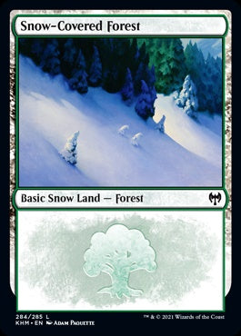 Snow-Covered Forest [