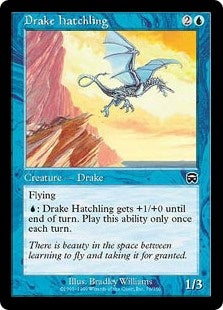 Drake Hatchling (MMQ-C)