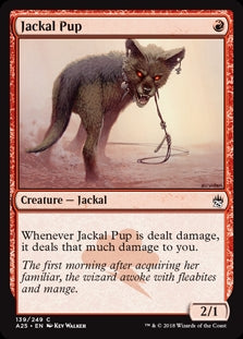 Jackal Pup (A25-C)