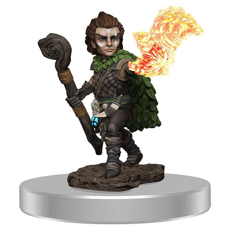 Pathfinder Battles: Premium Figure - Wave 03: Male Gnome Druid