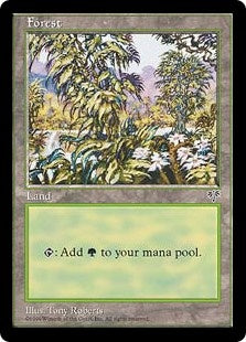 Forest [# 349] (MIR-C)