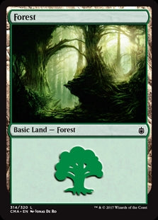 Forest [#314](CMA-C)