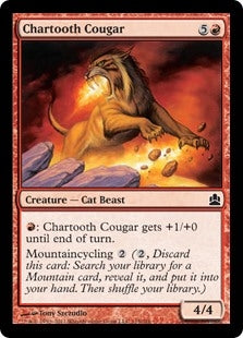 Chartooth Cougar (CMD-C)