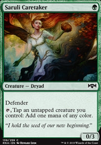 Saruli Caretaker (RNA-C)