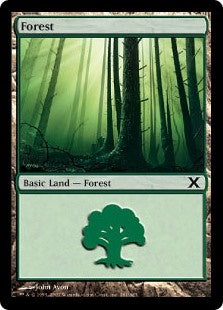 Forest [#381] (10E-C)