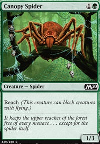 Canopy Spider (M20-C)