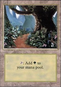 Forest [306] (3ED-C)