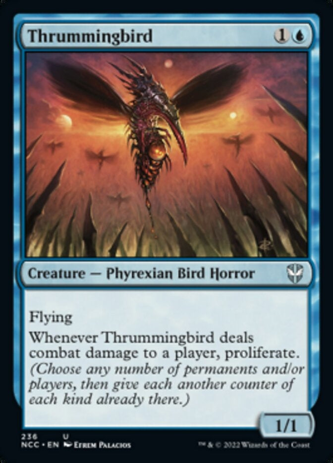 Thrummingbird [