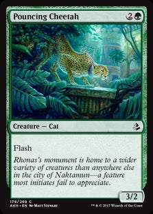 Pouncing Cheetah (AKH-C)