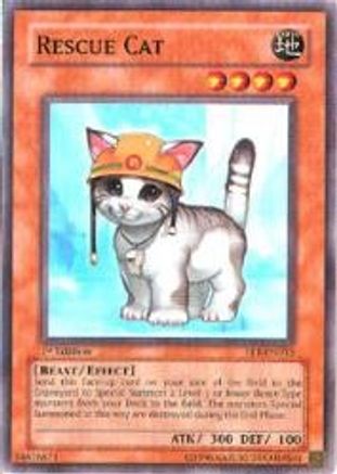 Rescue Cat (FET-EN033) Moderate Play 1st Edition
