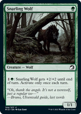 Snarling Wolf (MID-C)