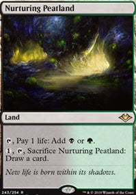 Nurturing Peatland (MH1-R)