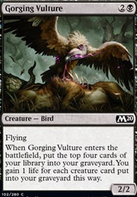 Gorging Vulture (M20-C)