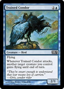 Trained Condor (M14-C)
