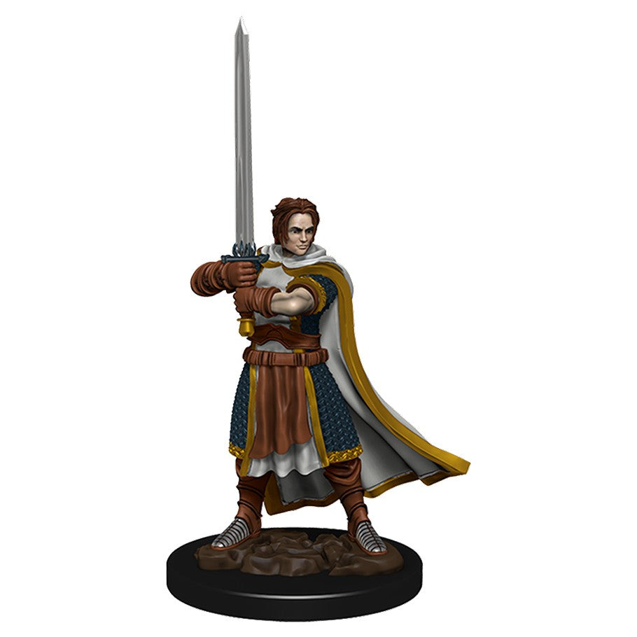 D&D Miniatures: Icons of the Realms - Premium Figure: Wave 04 - Human Cleric Male