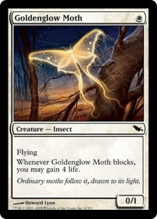 Goldenglow Moth (SHM-C)