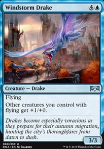 Windstorm Drake (RNA-U)