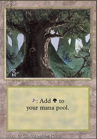 Forest [304] (3ED-C)