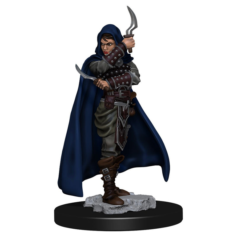 Pathfinder Battles: Premium Figure - Wave 01: Human Rogue Female