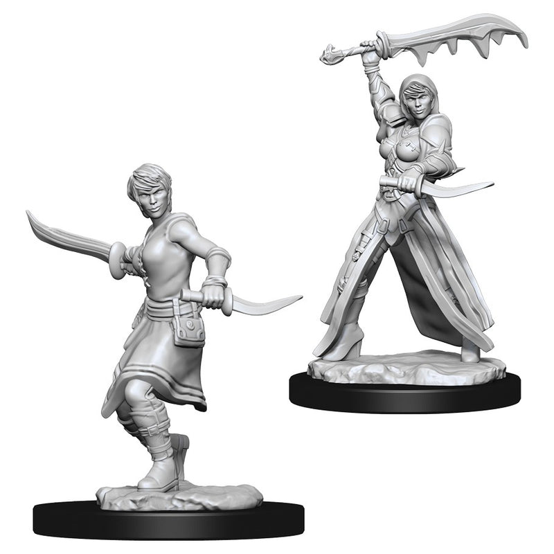 D&D: Nolzur's Marvelous Miniatures - Female Human Rogue W10