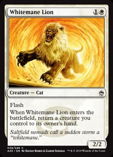 Whitemane Lion (A25-C)