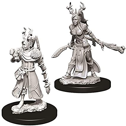 D&D: Nolzur's Marvelous Miniatures - Female Human Druid W9