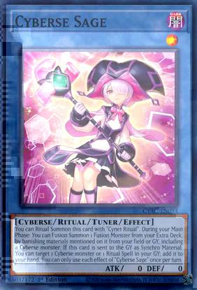 Cyberse Sage (CYAC-EN033) Common - Near Mint 1st Edition