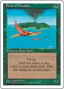 Birds of Paradise (4ED-R)