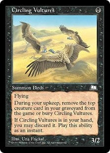 Circling Vultures (WTH-U)