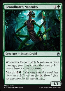 Broodhatch Nantuko (A25-U)