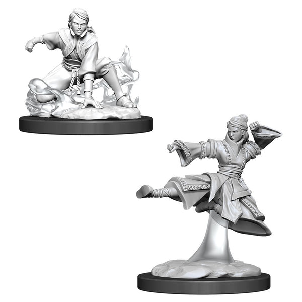 D&D: Nolzur's Marvelous Miniatures - Female Human Monk W11