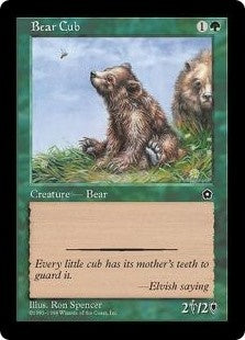 Bear Cub (P02-C)