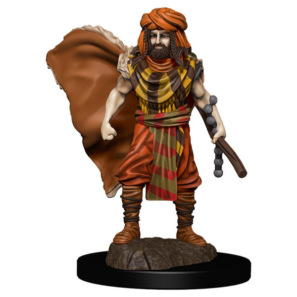 D&D Miniatures: Icons of the Realms - Premium Figure: Wave 04 - Human Druid Male