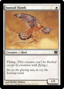 Suntail Hawk (9ED-C)