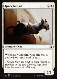 Graceful Cat (AKH-C)