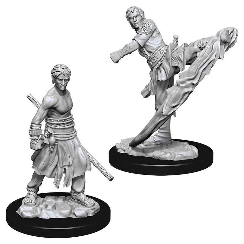 D&D: Nolzur's Marvelous Miniatures - Male Half-Elf Monk W10