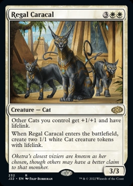 Regal Caracal [#232] (J22-R)