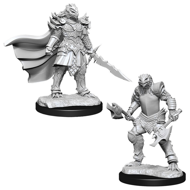 D&D: Nolzur's Marvelous Miniatures - Dragonborn Fighter Female W15