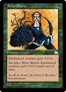 Briar Shield (WTH-C)